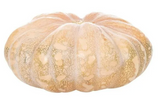 Calabaza de Castilla (4 kg aprox)