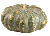 Calabaza de Castilla (4 kg aprox)
