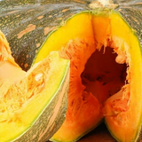 Calabaza de Castilla (4 kg aprox)