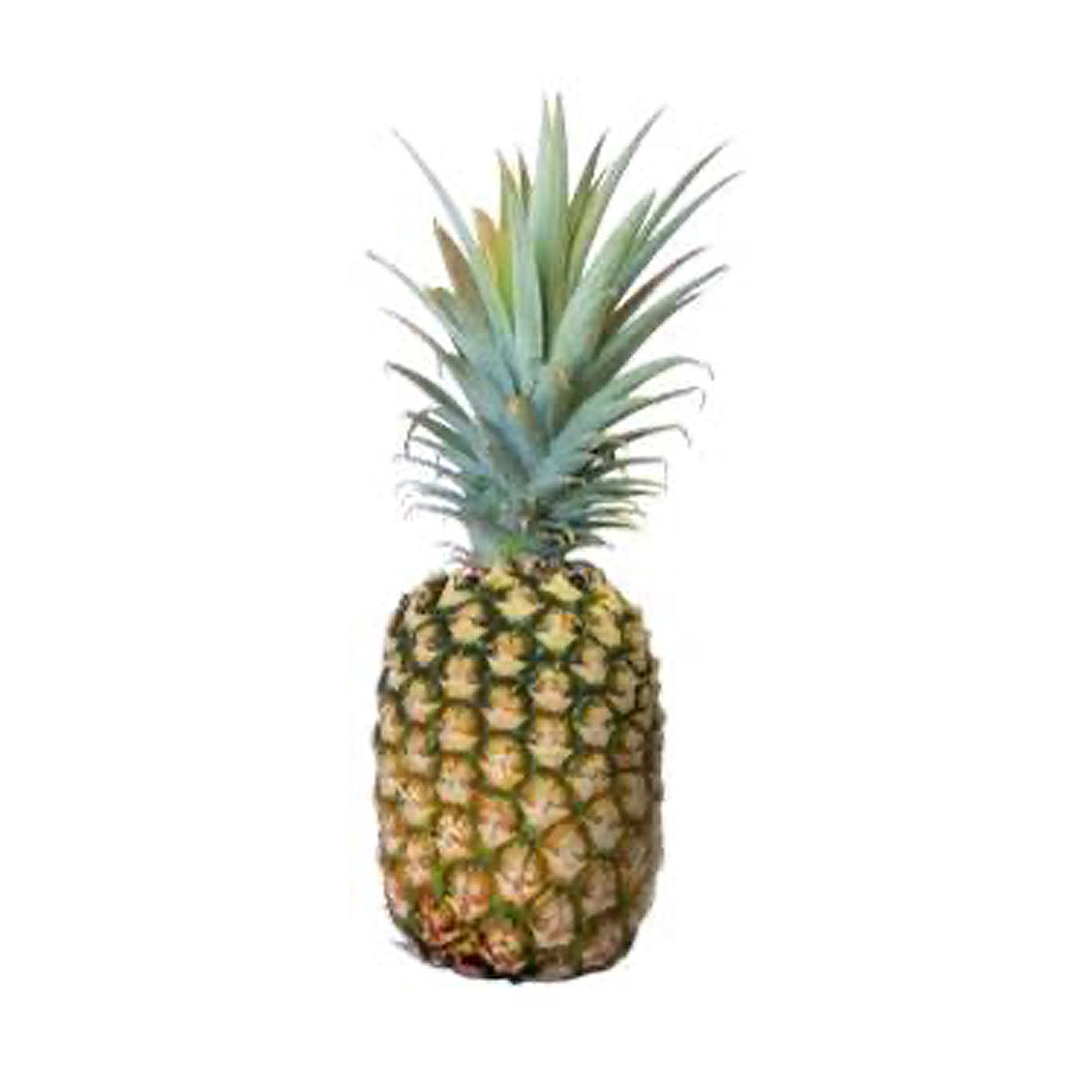 Frutas – Mercado a Casa