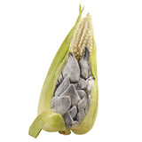 Huitlacoche